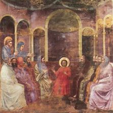 scrovegni - [22] - christ among the doctors.jpg